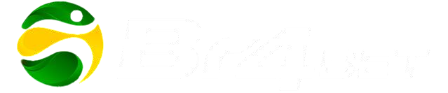 logo_br4